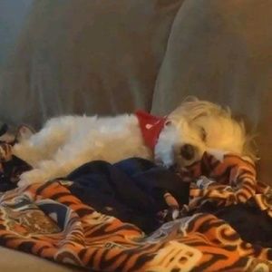 Meet your Posher, Stacy